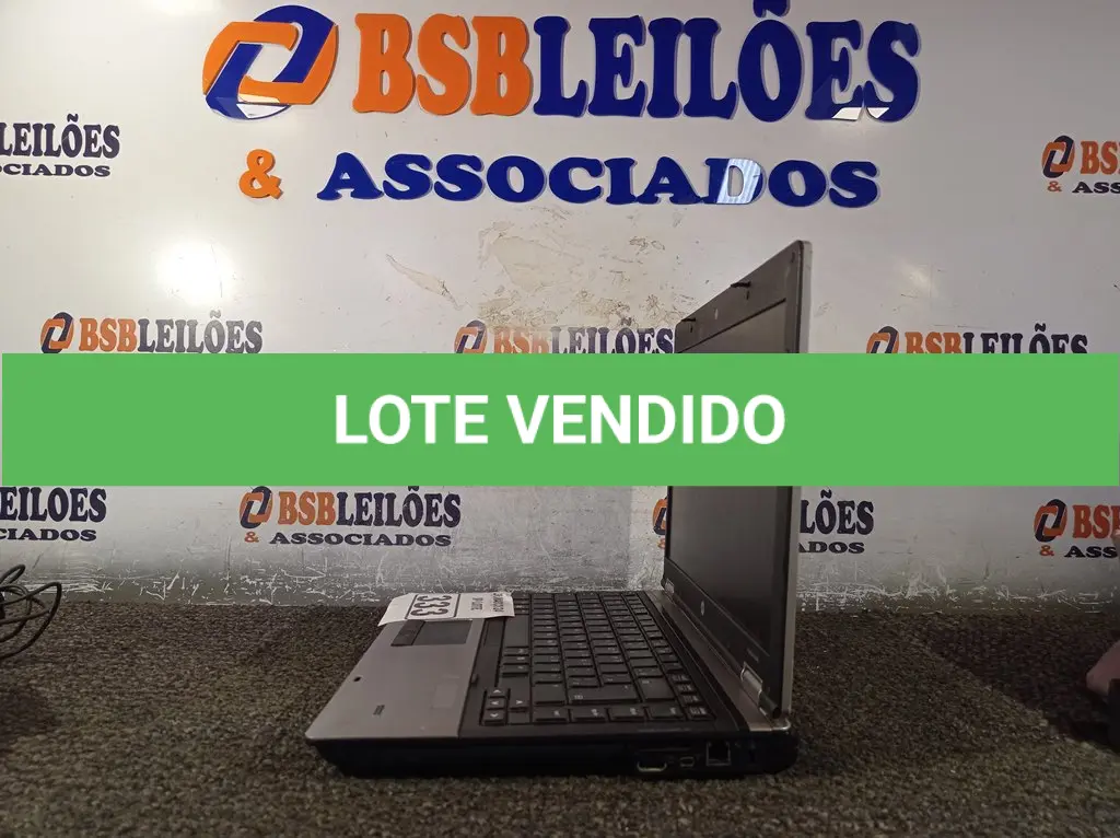 LOTE 333