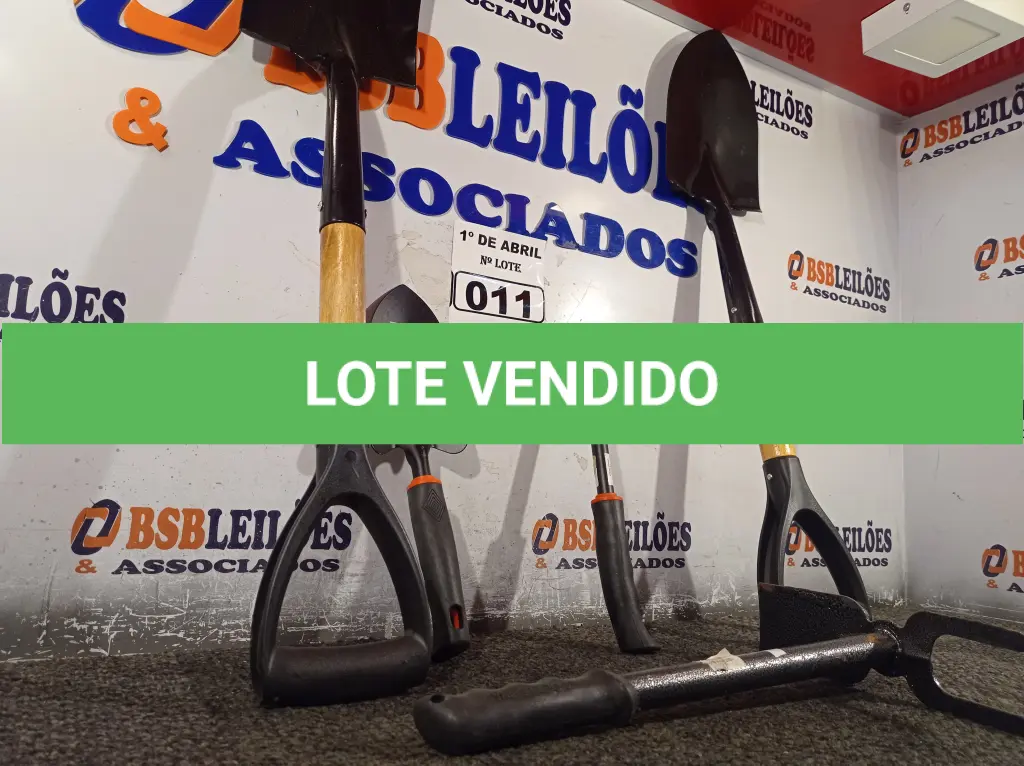 LOTE 011