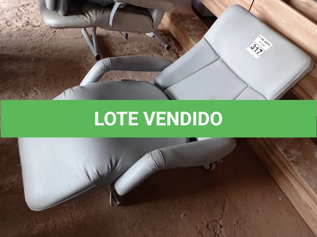 LOTE 317