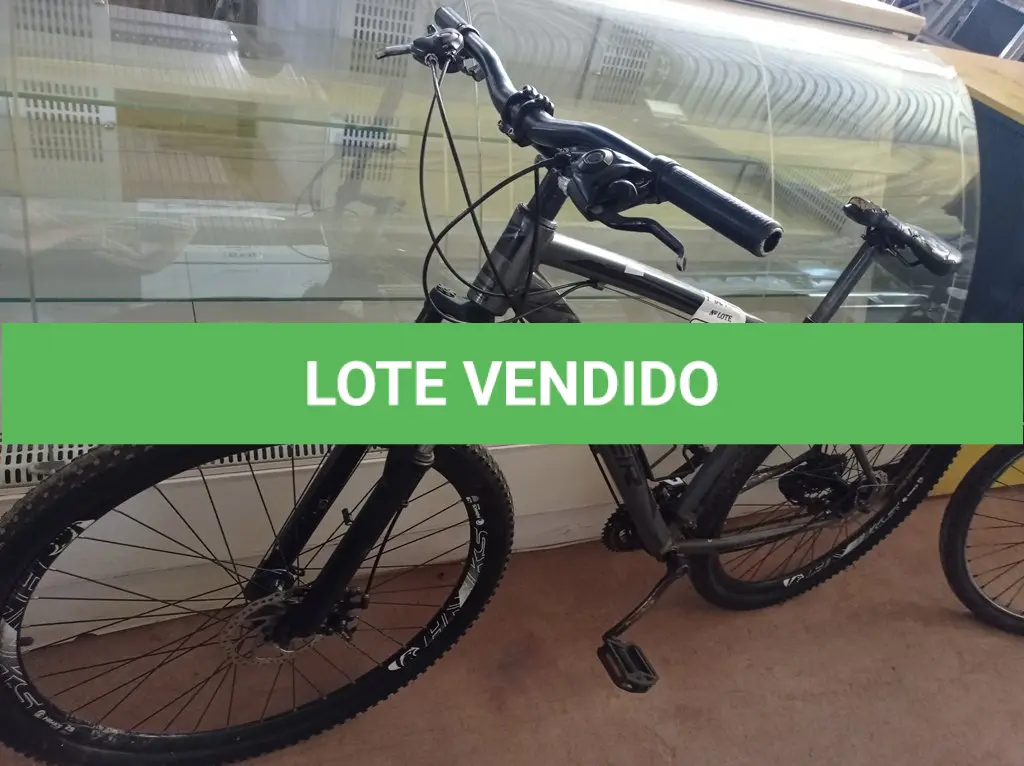 LOTE 520