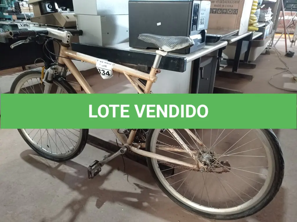 LOTE 334