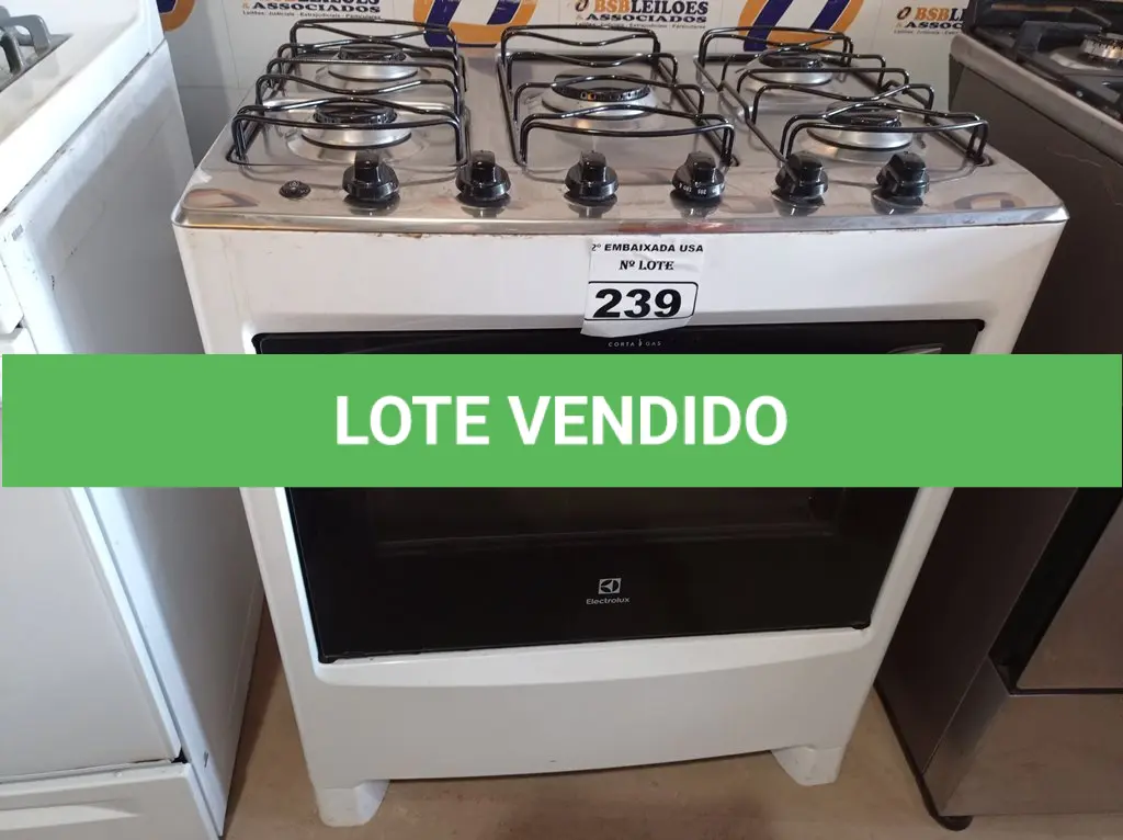 LOTE 239