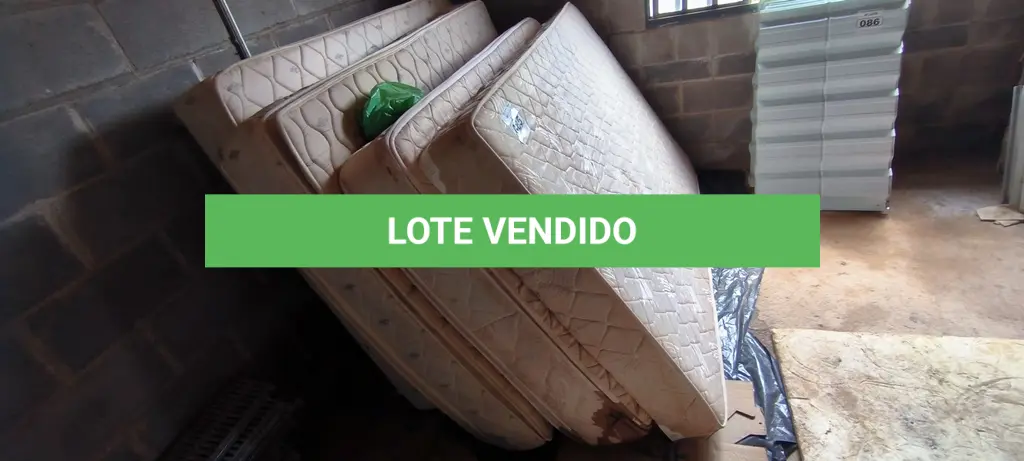 LOTE 085