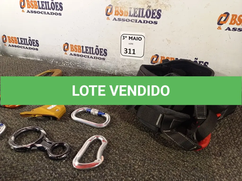 LOTE 311
