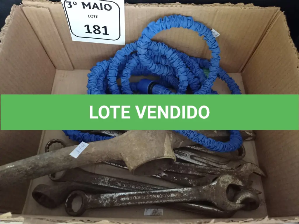 LOTE 181