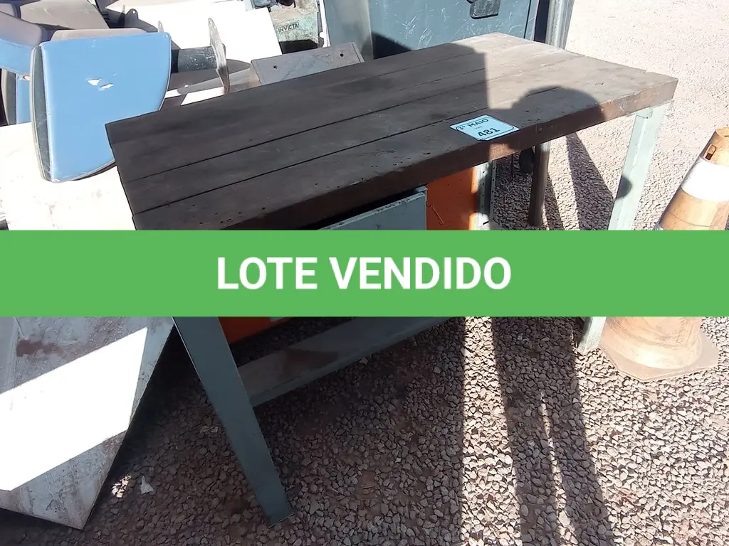 LOTE 481