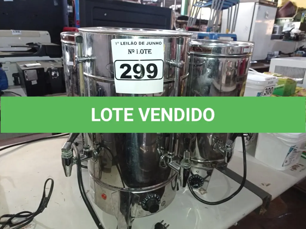 LOTE 299