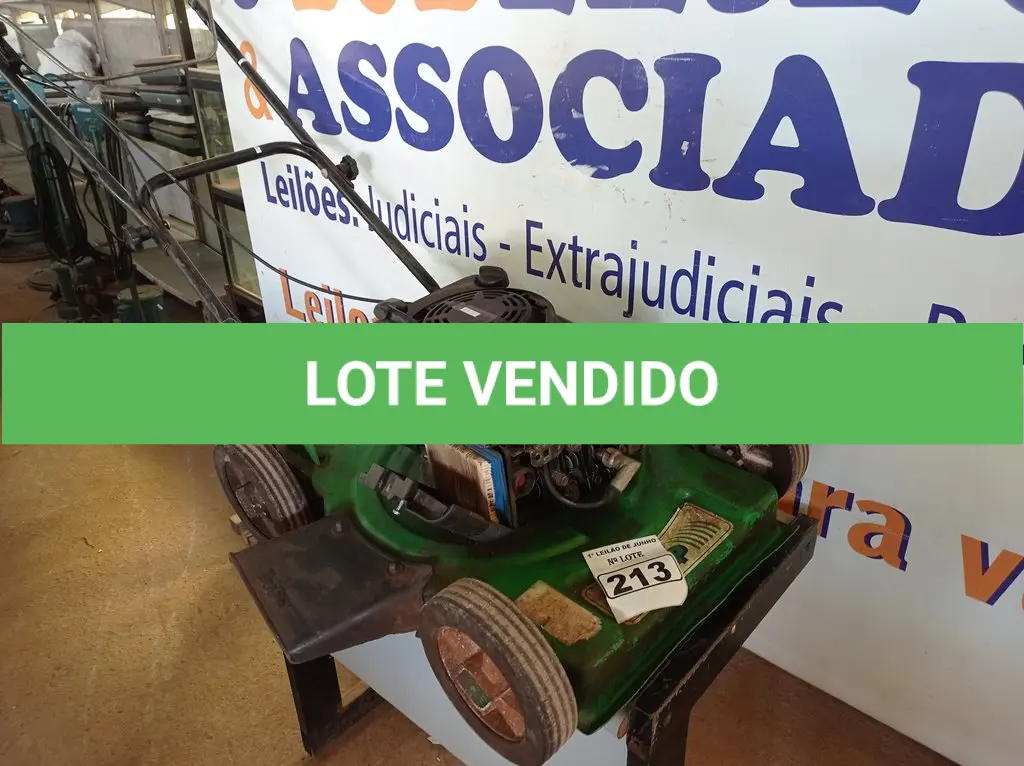 LOTE 213