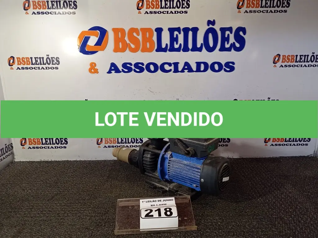 LOTE 218