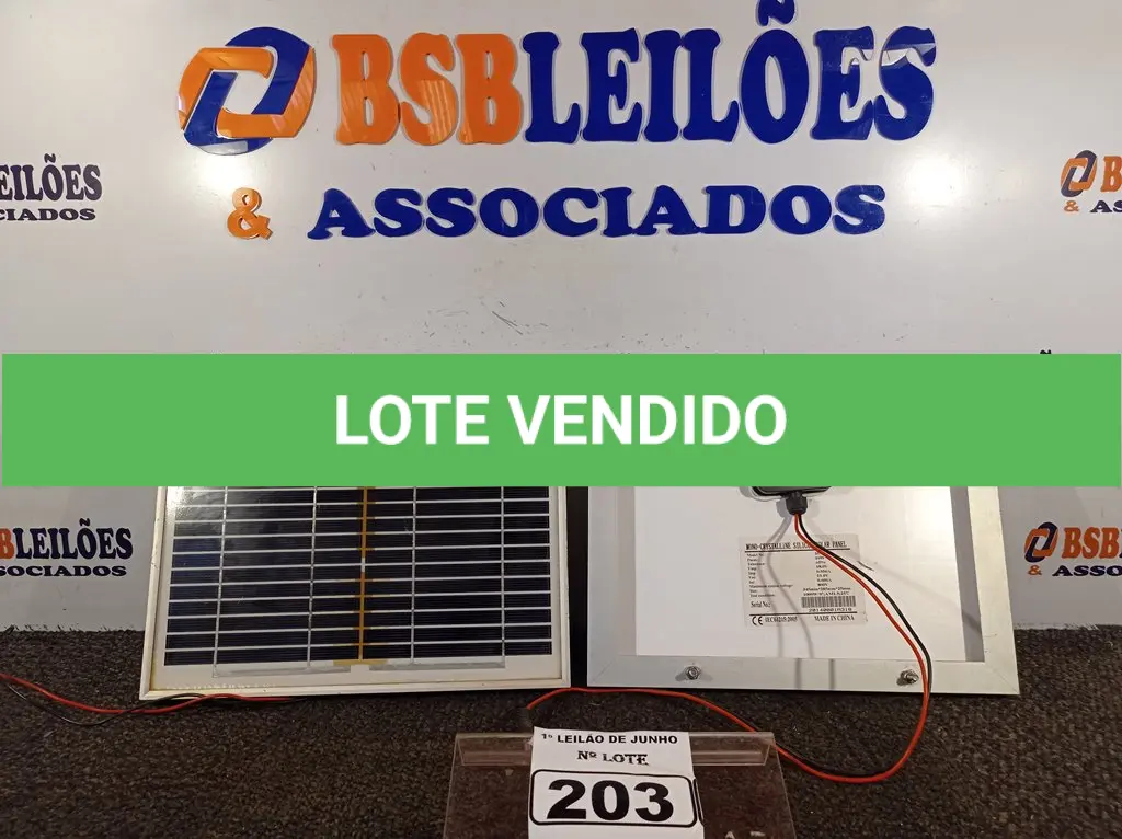 LOTE 203