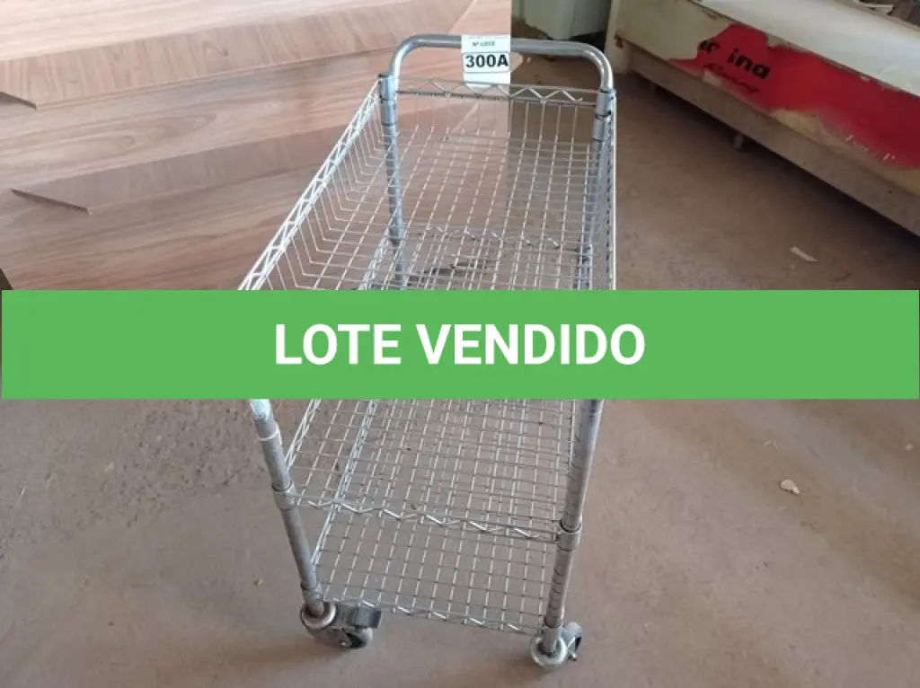 LOTE 300