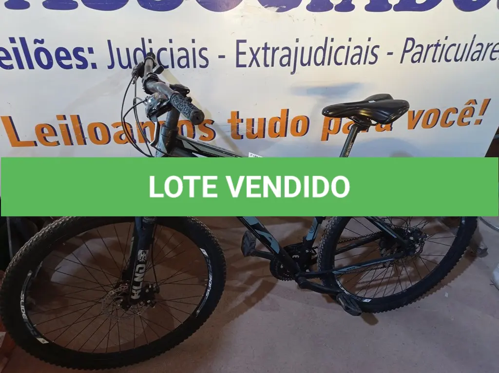 LOTE 141