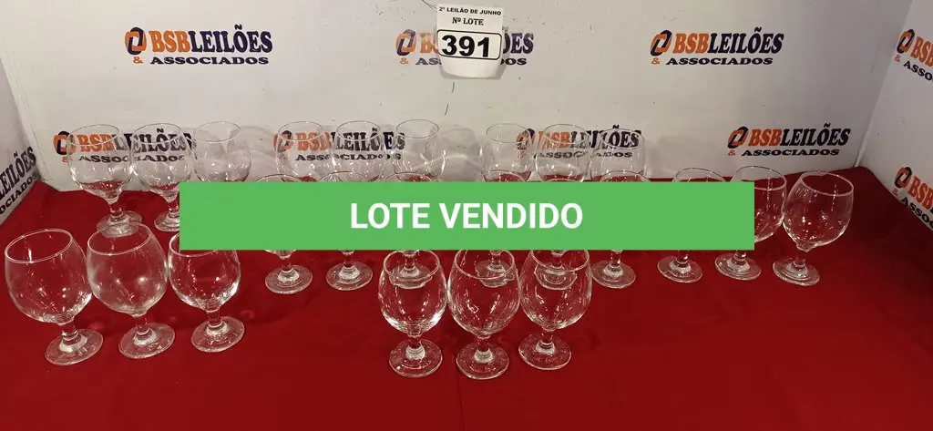 LOTE 391