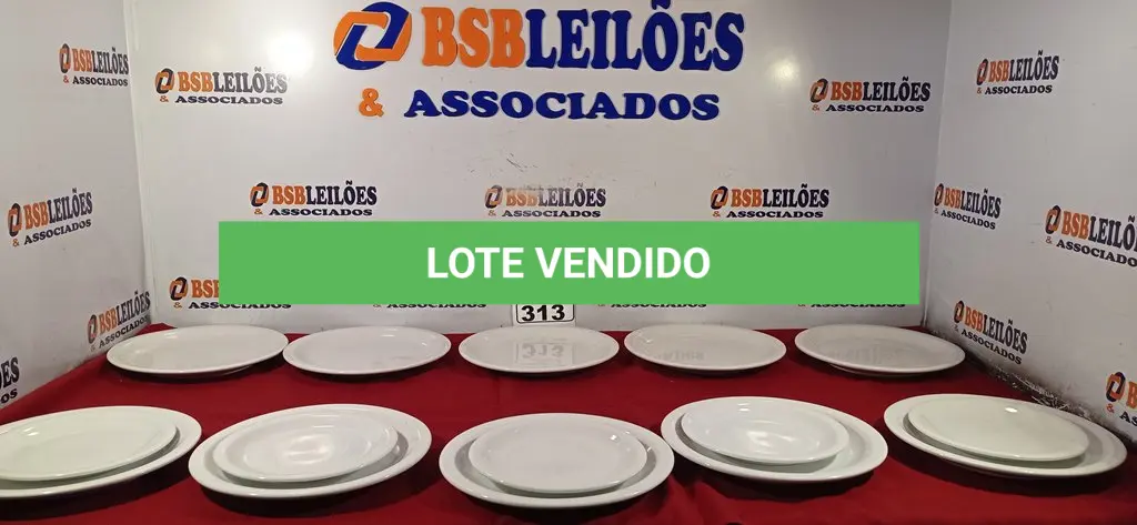 LOTE 313