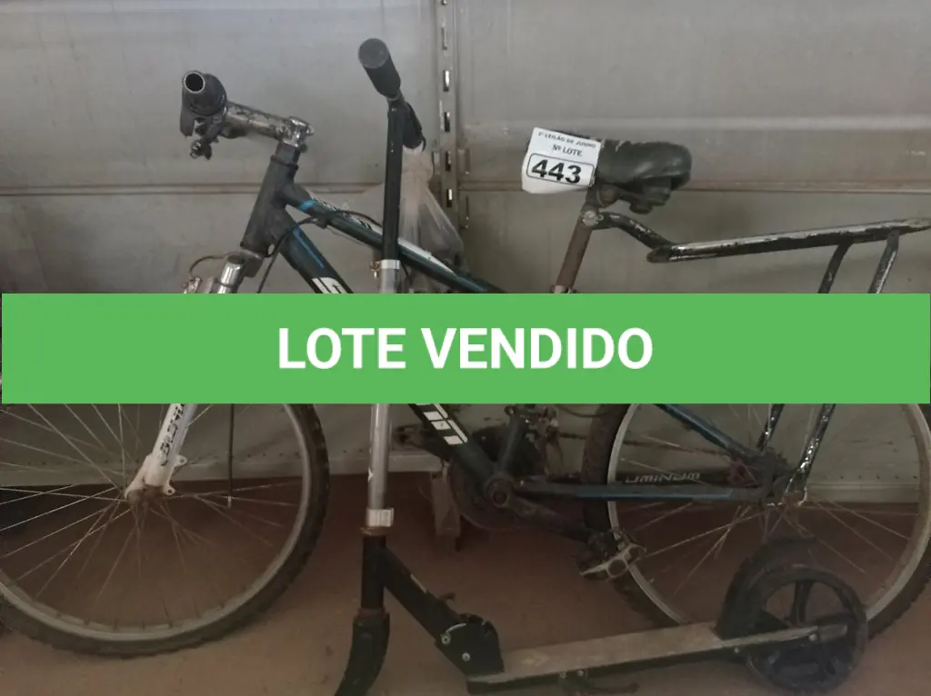 LOTE 443