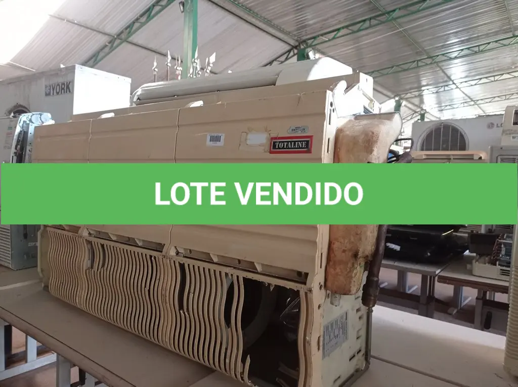 LOTE 233