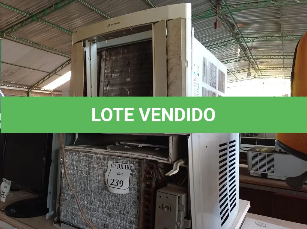 LOTE 239