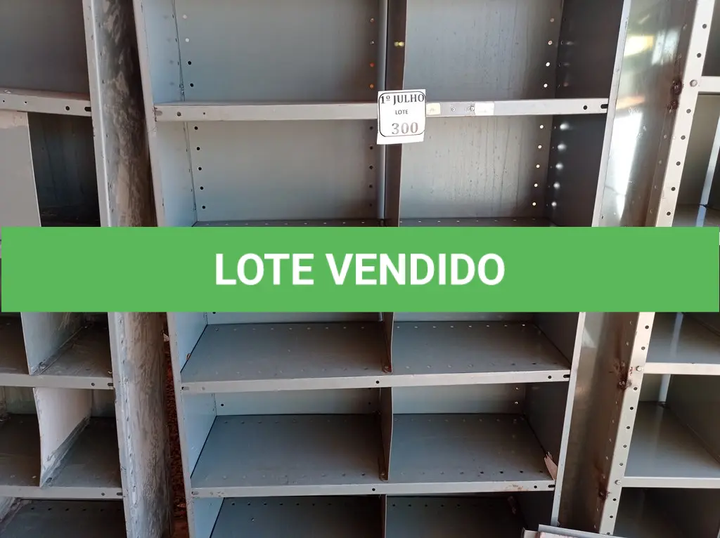 LOTE 300