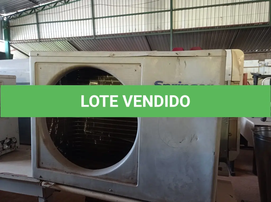 LOTE 236