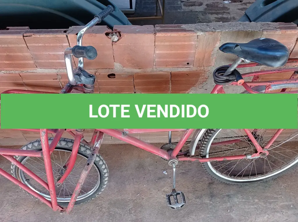 LOTE 409