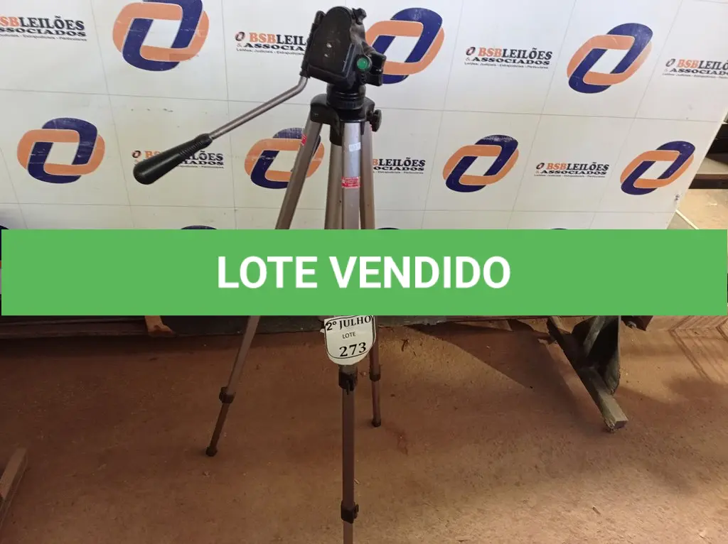 LOTE 273