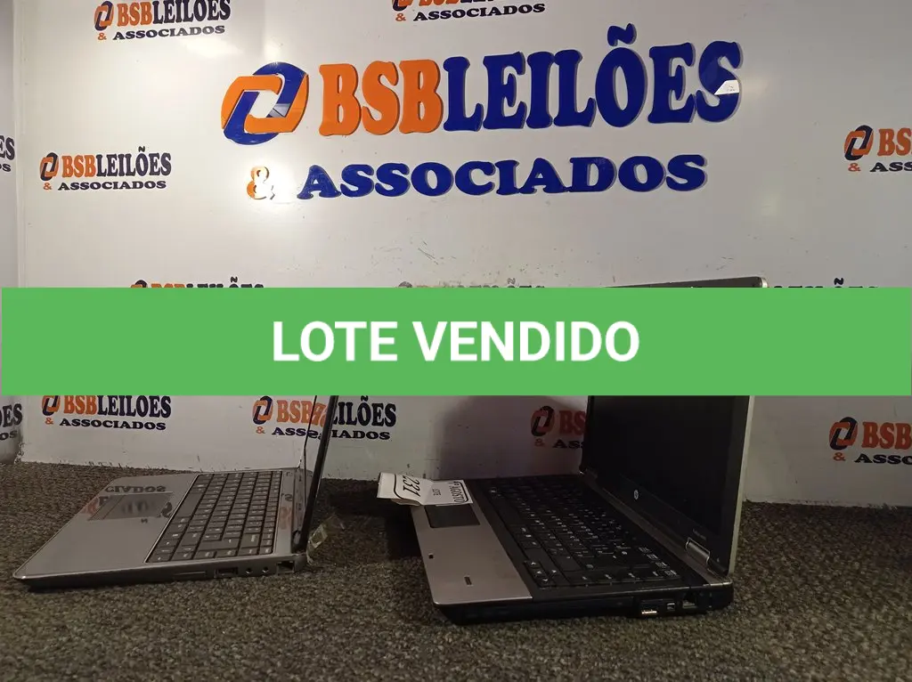 LOTE 231