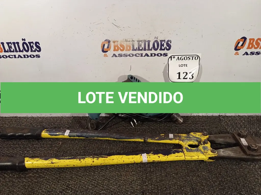 LOTE 123