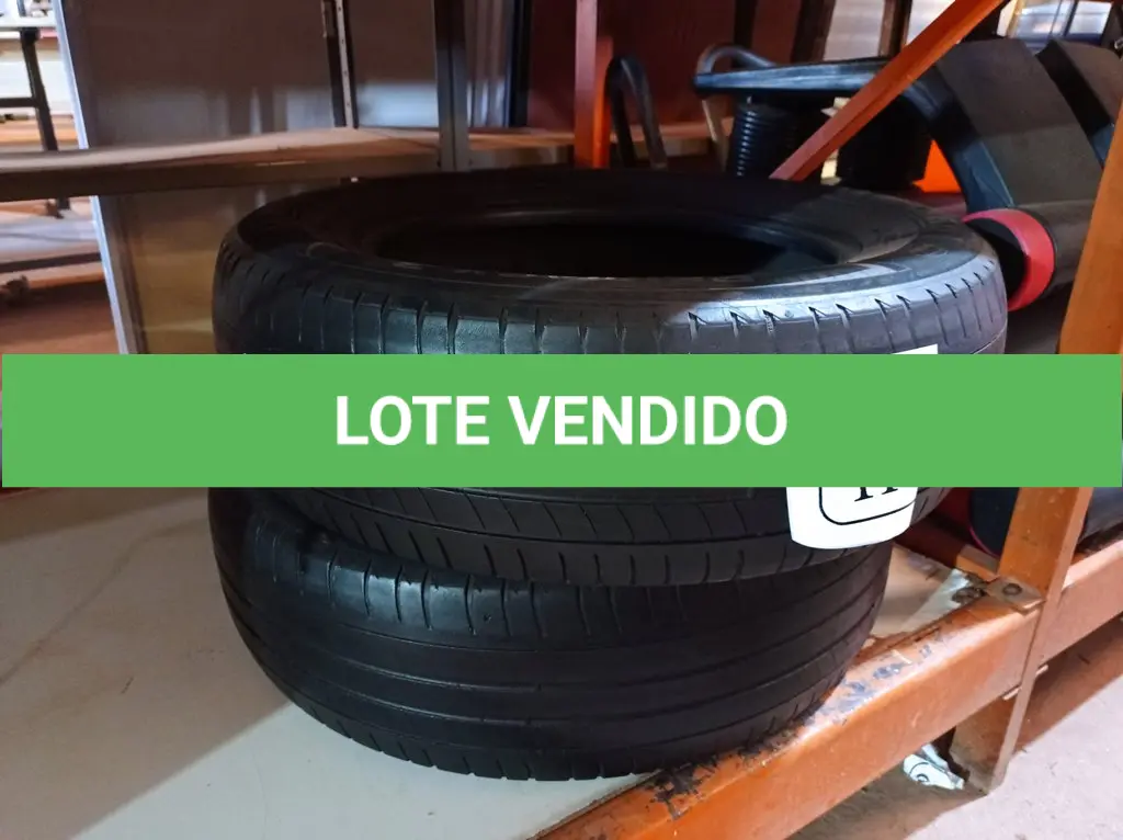 LOTE 119