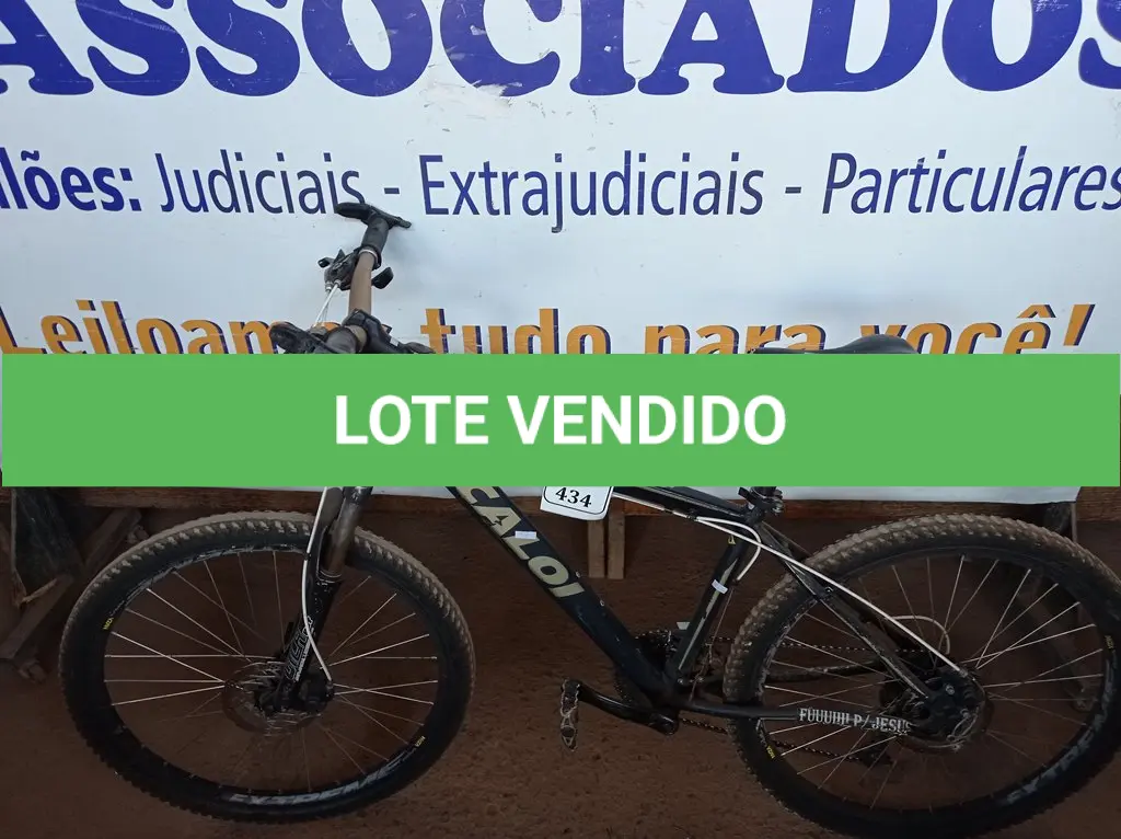 LOTE 434