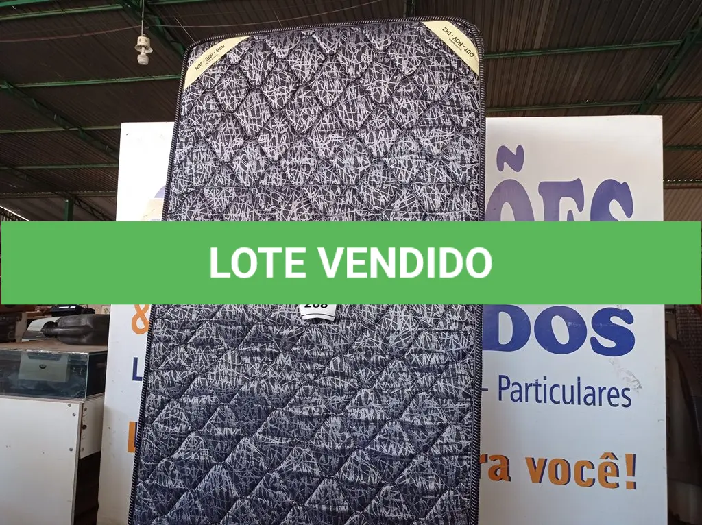 LOTE 268