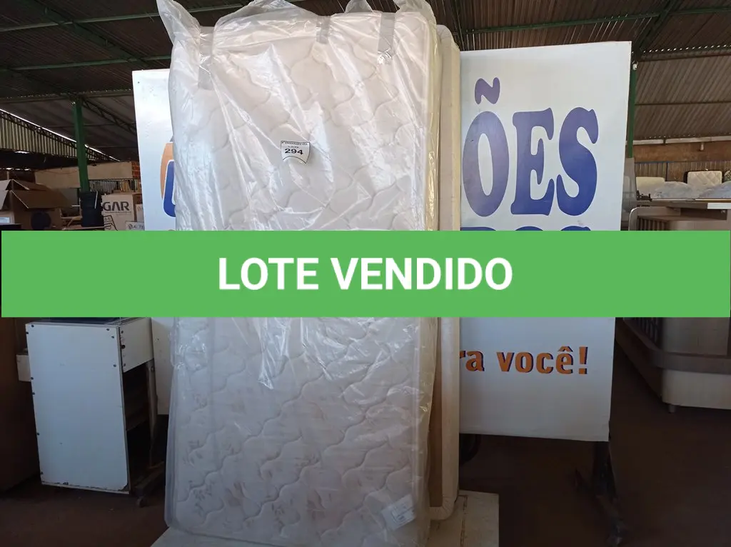 LOTE 294