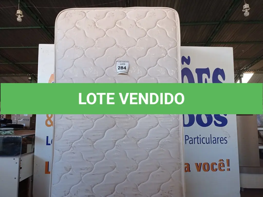 LOTE 284