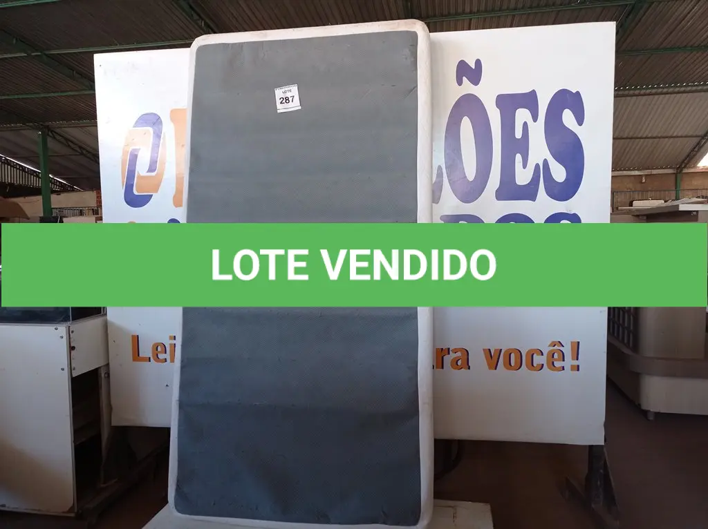 LOTE 287