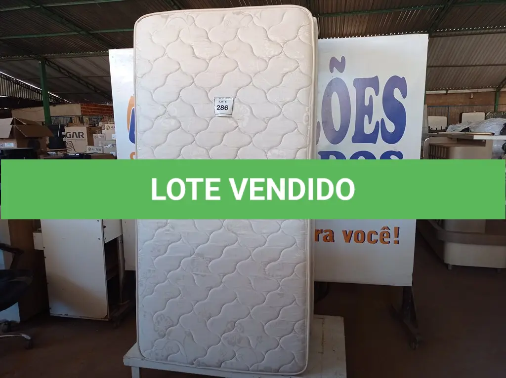 LOTE 286