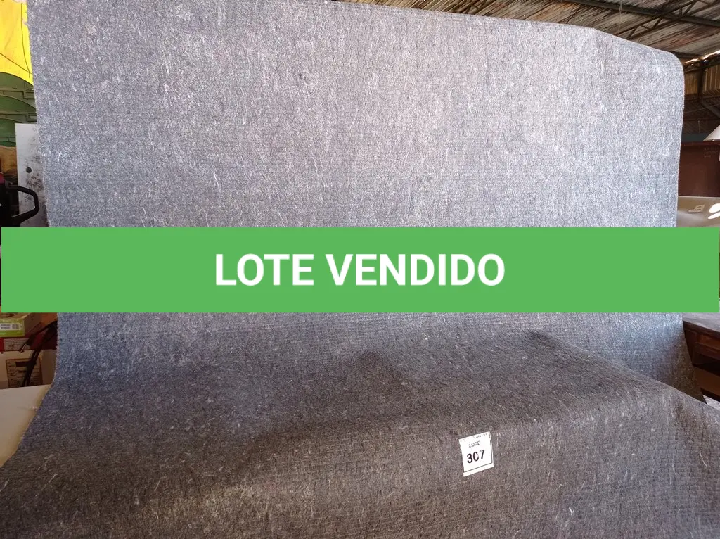 LOTE 307