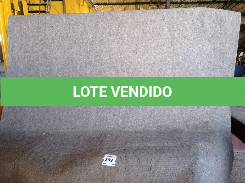 LOTE 309