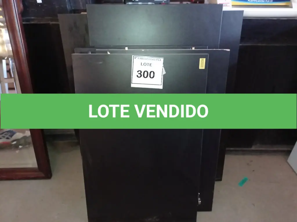 LOTE 300