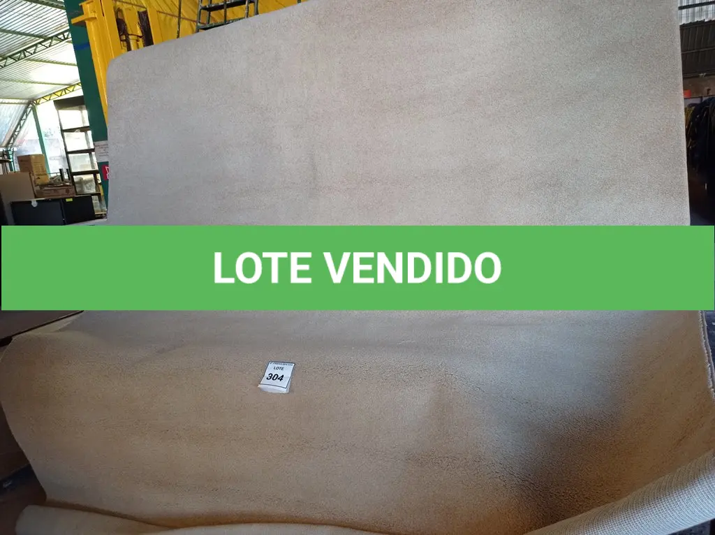 LOTE 304