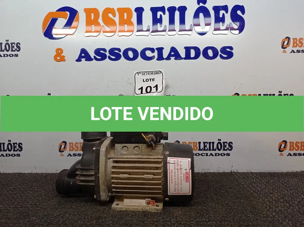 LOTE 101