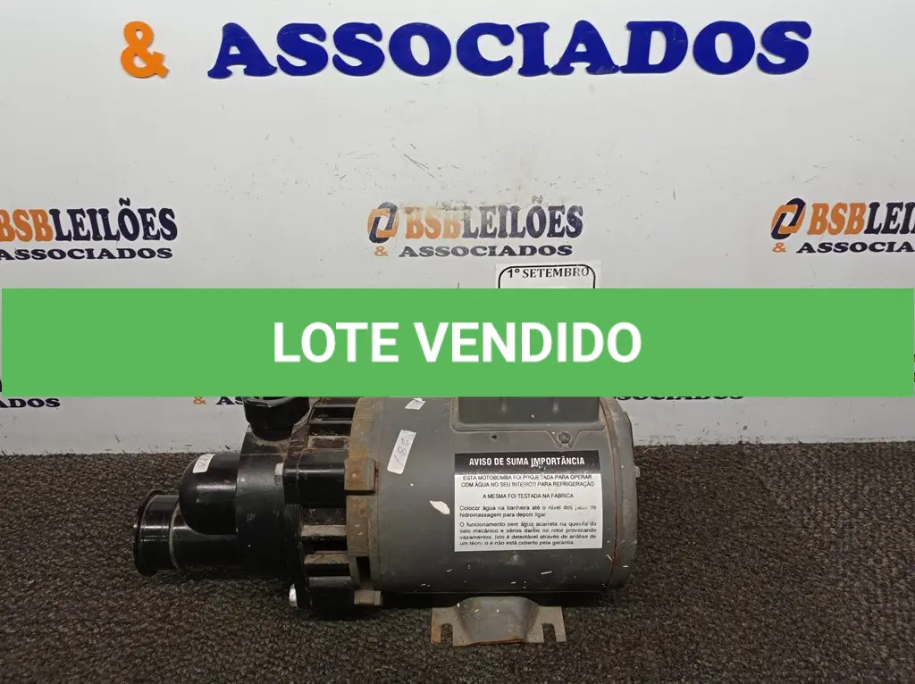 LOTE 146