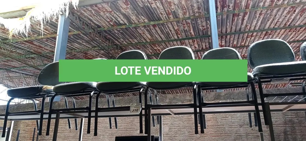 LOTE 310