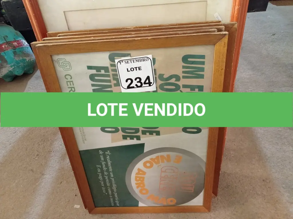 LOTE 234