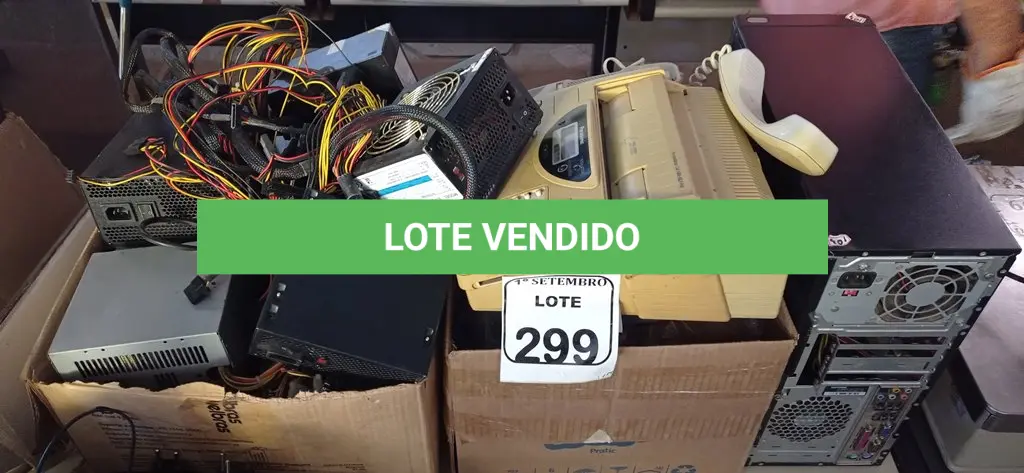 LOTE 299