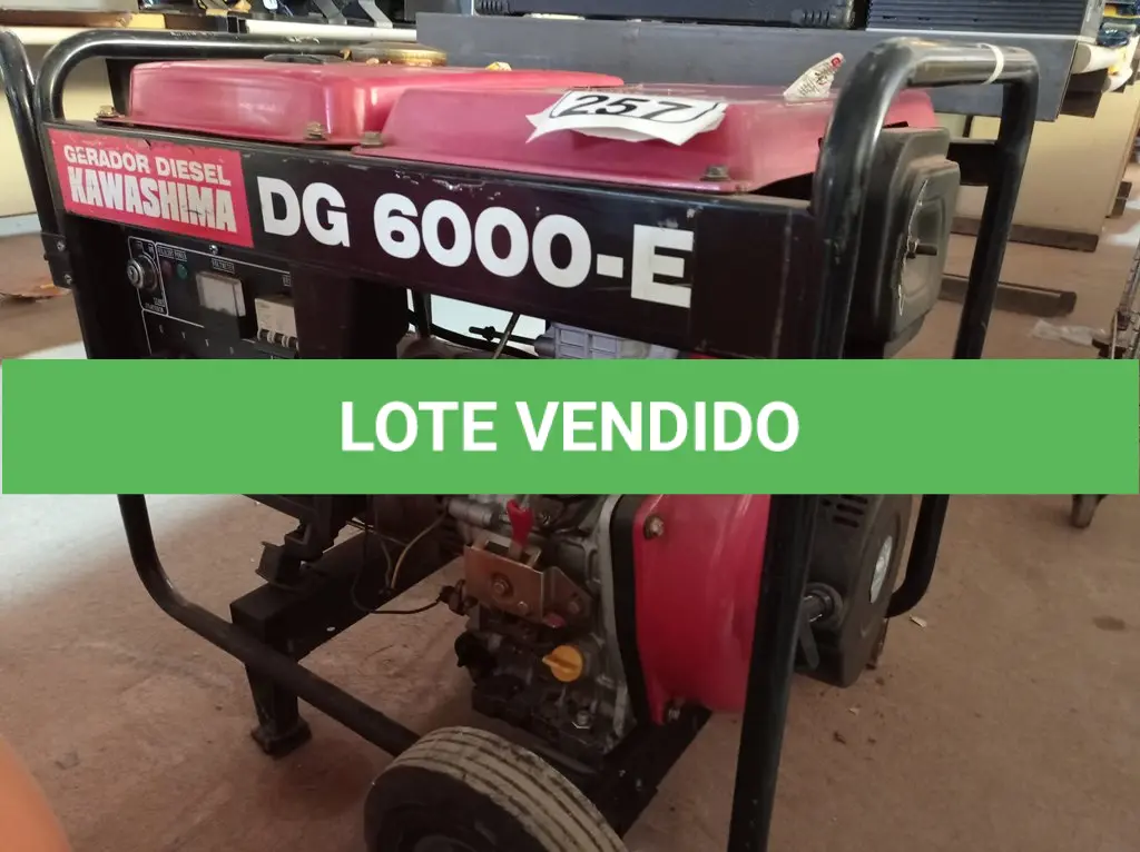 LOTE 257