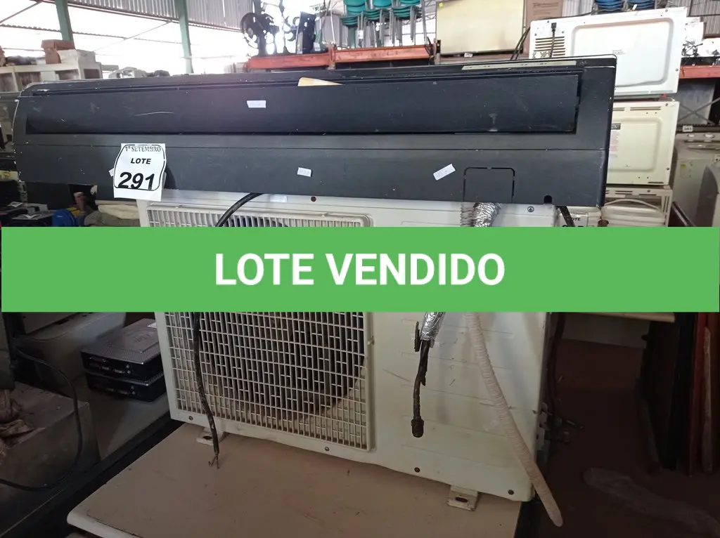 LOTE 291
