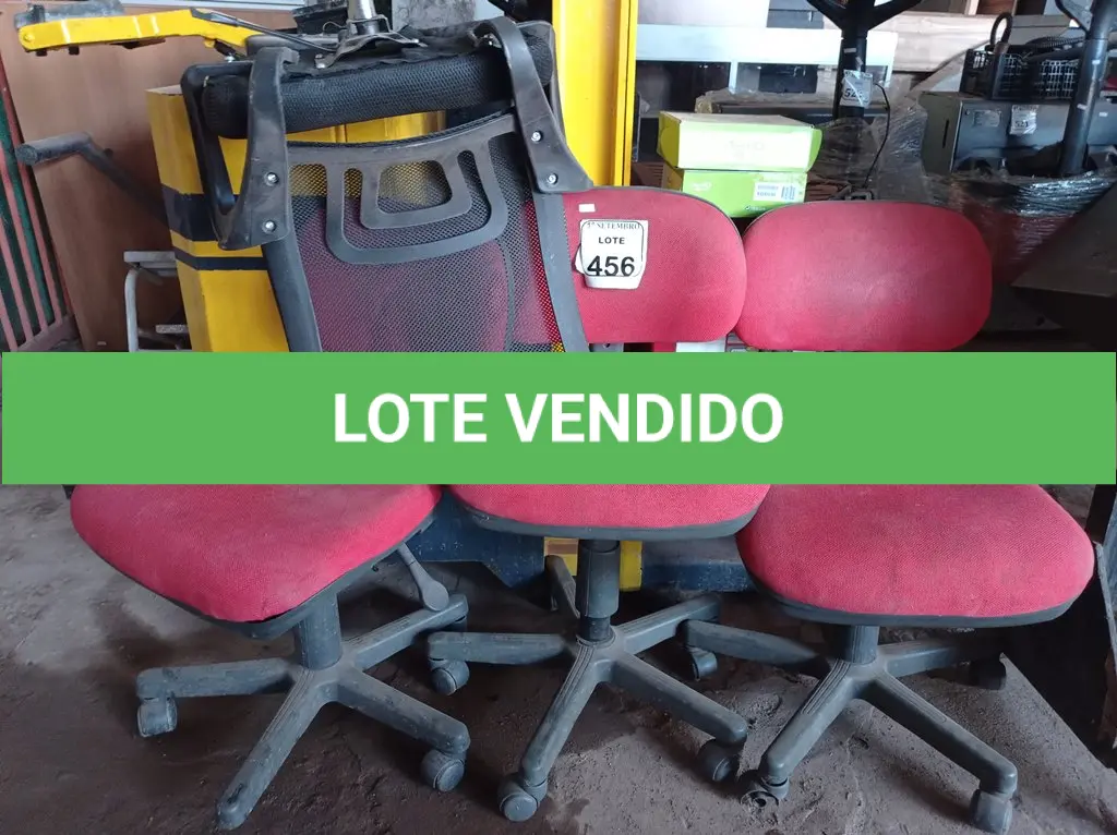LOTE 456