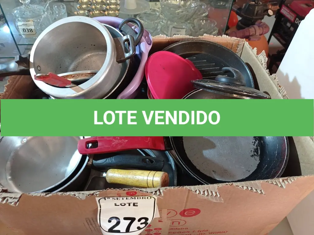 LOTE 273