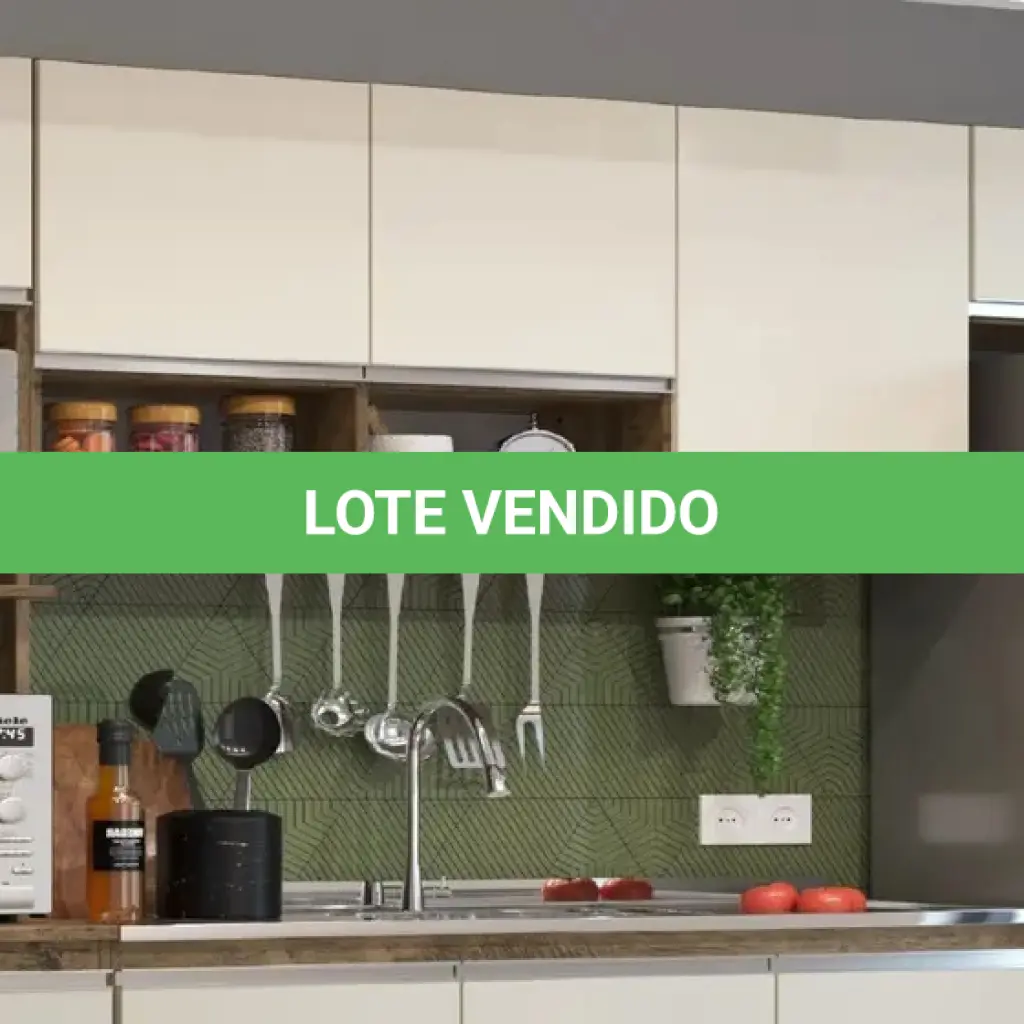 LOTE 154