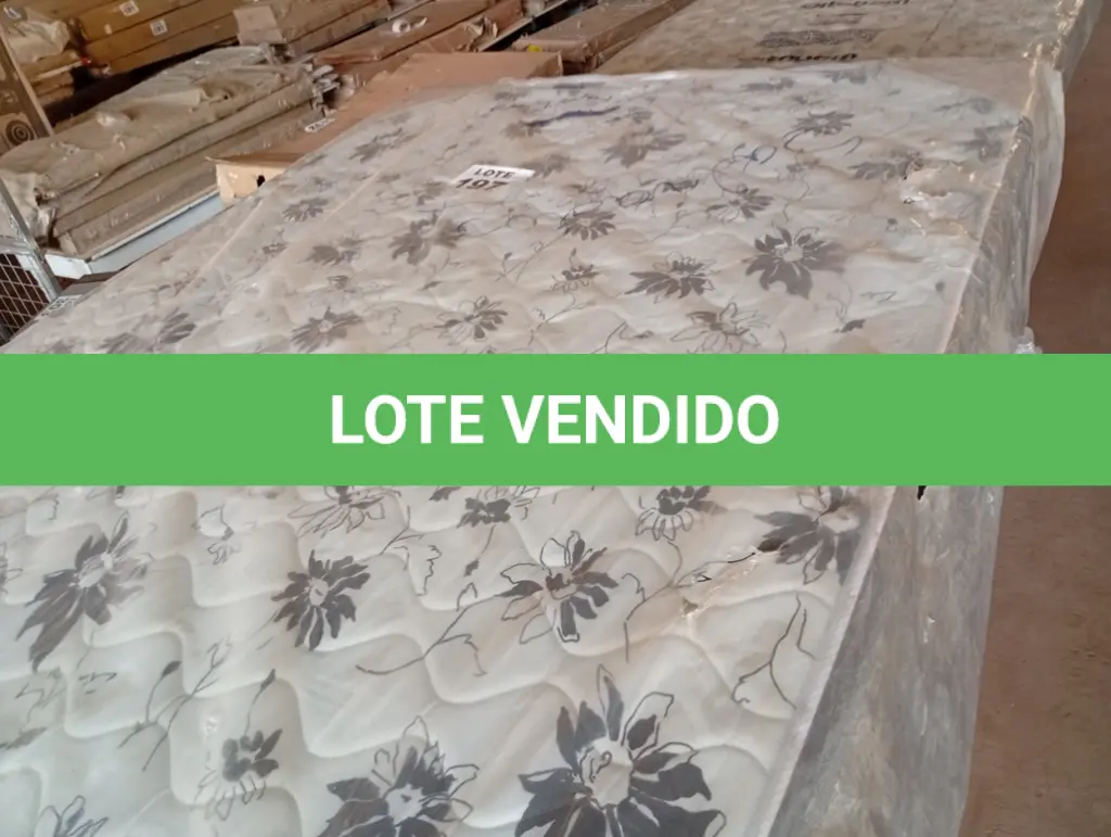 LOTE 197