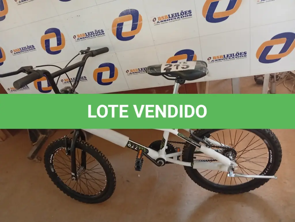 LOTE 213